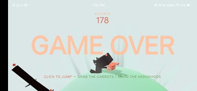 Rabbit run screenshot 2