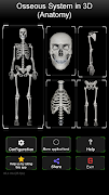 Osseous System in 3D (Anatomy) اسکرین شاٹ 1