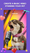 PetStar 포스터