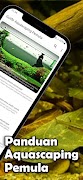 Guide Aquascaping 截圖 1