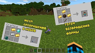 Мод на превращение в мобов Poster