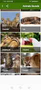 برنامه‌نما Animals Sounds عکس از صفحه