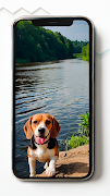 Beagle HD Wallpapers ภาพหน้าจอ 2