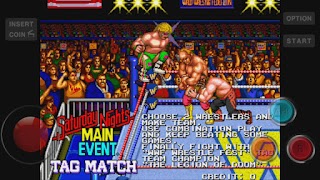 WF WrestleFest screenshot 2