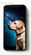 Labrador Retriever Wallpapers captura de pantalla 6