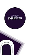Figaro VPN 截图 7