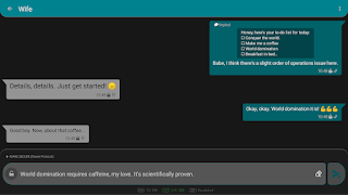RavenSMS, Pesan SMS Aman screenshot 5