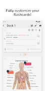 OutLearn Flashcards скриншот 3