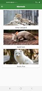 WorldCritters скриншот 1