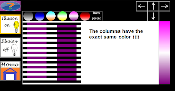 Optical Illusions screenshot 2