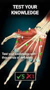 Anatomy Learning By Dr. Blanco screenshot 5