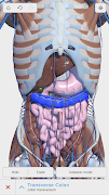 Visual Anatomy 3D - Human স্ক্রিনশট 6
