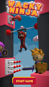 Wacky Ninja 海报