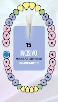 پوستر Guia de Dentes