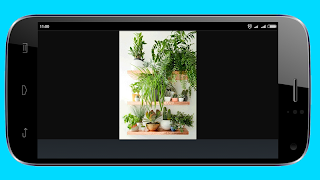 Mini Garden Ideas screenshot 1