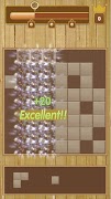 Fortune Block اسکرین شاٹ 4