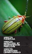 Identificador de inseto imagem de tela 5