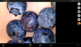 Micro Fi screenshot 2