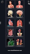 Human Anatomy syot layar 3