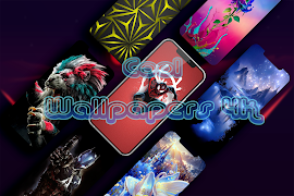 Cool Wallpapers 4K اسکرین شاٹ 4