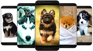 犬の壁紙 スクリーンショット 4
