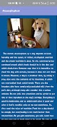 AmazingDogBook Plakat
