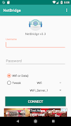 NetBridge VPN پوسٹر