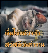 สวัสดีตามวัน ใหม่ทุกวันฟรี imagem de tela 3