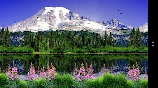 Mount Rainier Lite screenshot 5