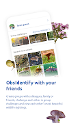 ObsIdentify imagem de tela 3