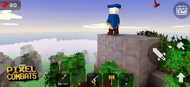 Pixel Combats: Blocky Craft 3D syot layar 3