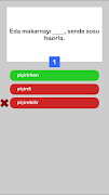 Turkish Test 截图 2