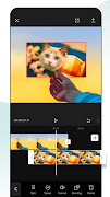 video cat guide editor cap captura de pantalla 1