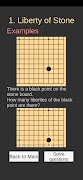 Go Game Lesson (Beginner) 截图 1
