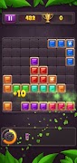 Block Puzzler 스크린샷 1