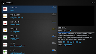 X3M Player imagem de tela 4