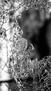 Broken Screen Wallpaper 截圖 1