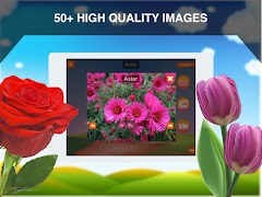 برنامه‌نما Flowers Learning Flashcards عکس از صفحه