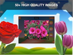الزهور البطاقات التعليمية تصوير الشاشة 6
