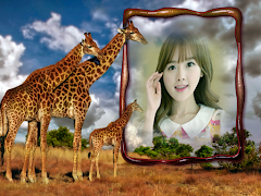 Picture Frame 截图 2