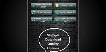 Download Manager screenshot 6