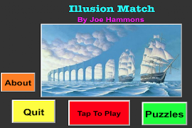 Illusion Match poster