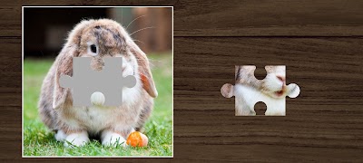 Animal Jigsaw Puzzle Fun 海报