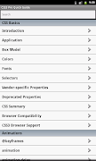 CSS3 Pro Quick Guide Affiche