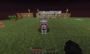 mod one block maps survival 海报