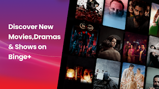 Binge+ captura de pantalla 6