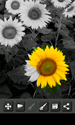 Image Decolorizer স্ক্রিনশট 2