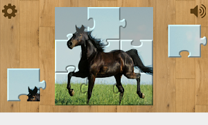 Horses Puzzles screenshot 2