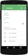 4 Schermata Password Manager