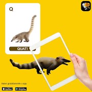 برنامه‌نما 4Dmais عکس از صفحه